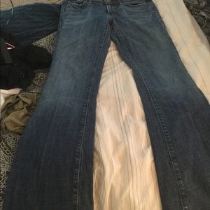 Citizens for Humanity /Ingrid 002